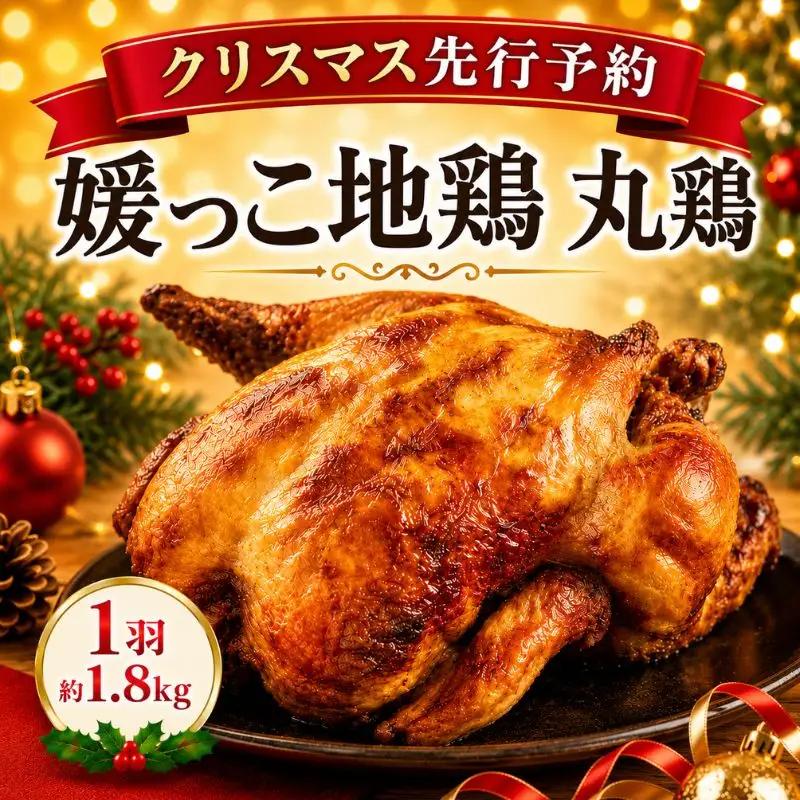 【 2026年 クリスマス 先行予約 】 媛っこ地鶏 丸鶏 約 1.8kg まるごと 鶏肉 鳥肉 肉 チキン むね肉 もも肉 クリスマス ローストチキン ごちそう 愛媛県 愛南町 ローカルスタンダード