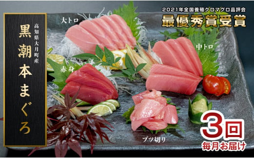 
                  訳あり 不定貫 定期便 3回 国産 養殖本マグロ 大トロ・中トロ・赤身・ブツ切り 4種 毎回300〜750g 月替わり×3回 黒潮本まぐろ 全国養殖クロマグロ品評会 最優秀賞受賞 3ヶ月 3か月 柵 刺身用 本マグロ クロマグロ 本鮪 まぐろ 鮪 お刺身 さしみ 大トロ トロ 中トロ 赤身 ブツ切り ぶつ切り ネギトロ たたき ユッケ 海鮮丼 漬け丼 手巻き寿司 鉄火丼 まぐろ丼 小分け 6万円
                
