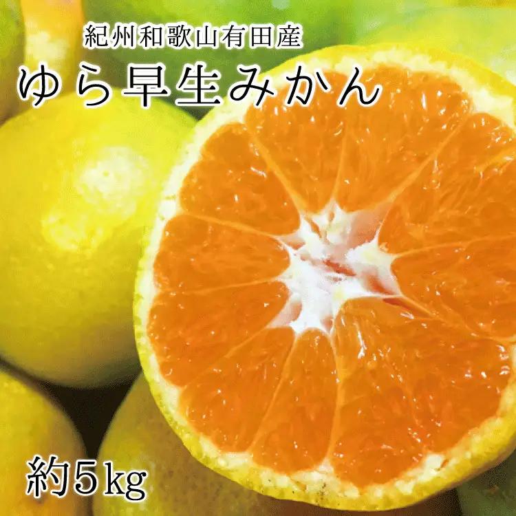 【先行予約】紀州和歌山有田産ゆら早生みかん 5kg　※2026年10月下旬頃?2026年11月上旬頃順次発送（お届け日指定不可）/ ゆら早生  みかん ミカン  和歌山 早生【uot721A】