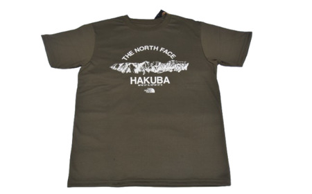THE NORTH FACE   Tシャツ  メンズXL　ニュートープ