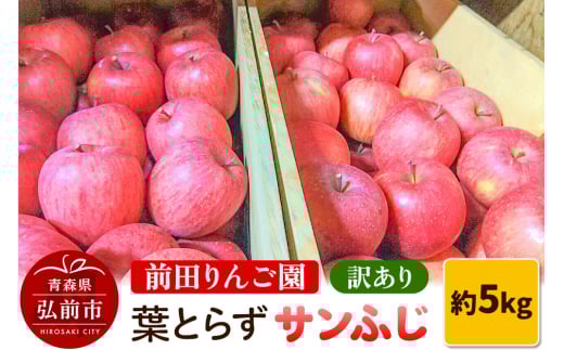 りんご【先行受付】訳あり 葉とらず サンふじ 約 5kg (16～20玉程度) 前田りんご園