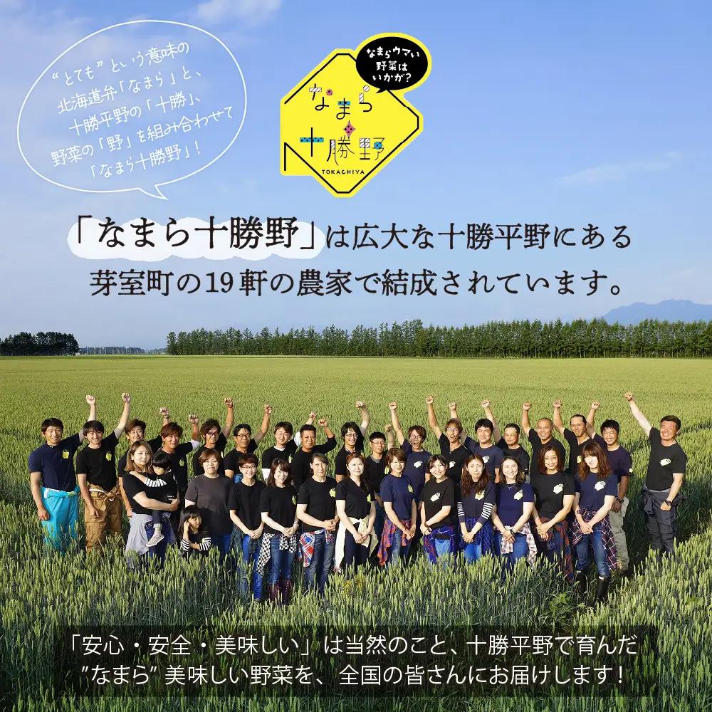 なまら十勝野の山わさび500g わさび 北海道 十勝 芽室町