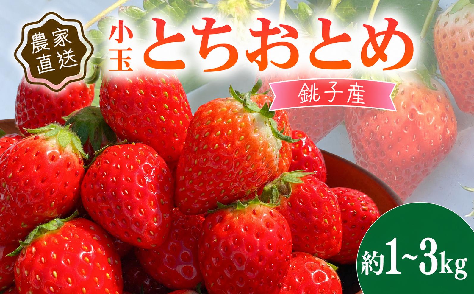 
                  いちご 先行予約 とちおとめ 小玉 約 1kg ~ 3kg (1パック 250g) 選べる容量 苺 ストロベリー 果物 フルーツ ジャム ケーキ いちご大福 ショートケーキ ふるさと納税 ふるさと納税いちご 冷蔵 strawberry 新鮮 朝摘み 産直 産地直送 くだもの ギフト プレゼント 贈答 ichigo itigo 送料無料 千葉県 銚子市 神原いちご園 【2027年1月~5月上旬発送】
                