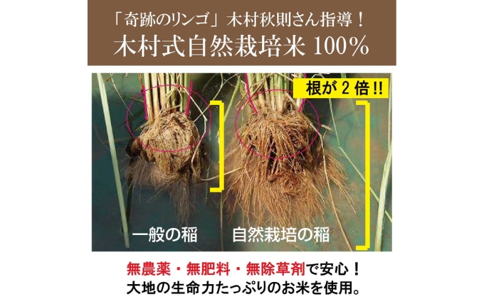 奇跡の酵素玄米粉（木村式自然栽培米100％使用） 4g×30本 加