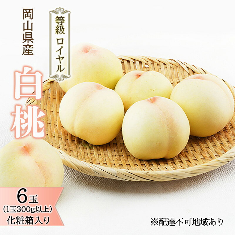 【ふるさと納税】桃 2026年 先行予約 白桃 6玉 （1玉300g以上） 等級：ロイヤル 化粧箱入り もも モモ 岡山県産 国産 フルーツ 果物 ギフト 贈答品 糖度12.0度以上　お届け：2026年7月上旬～2026年8月上旬