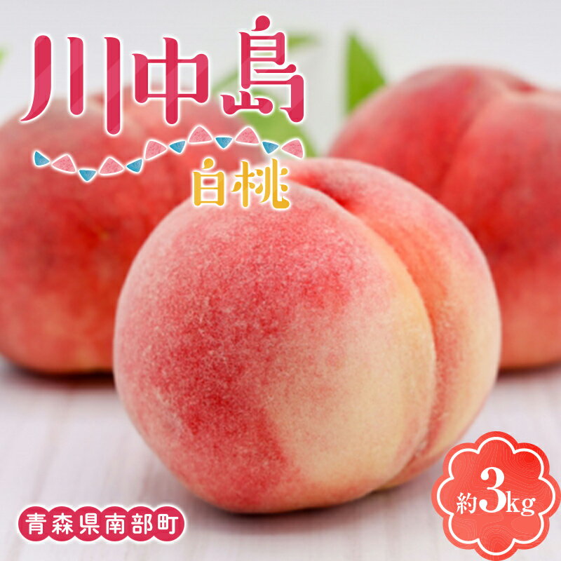 【ふるさと納税】 川中島白桃 約3kg（8～12玉） 【泉山果樹園】 青森県 南部町 桃 モモ もも 果物 くだもの フルーツ F21U-467