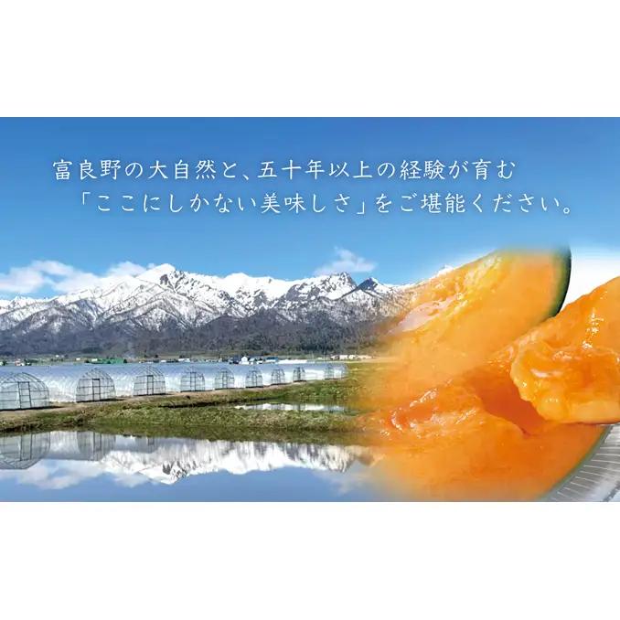 【2026年発送】≪特秀≫富良野 メロン 赤肉 2玉 計3.6kg以上 北海道