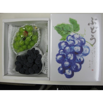 
                  人気の2品種　シャインマスカット+ピオーネ食べ比べセット　約1.2kg(各1房)【1705900】
                