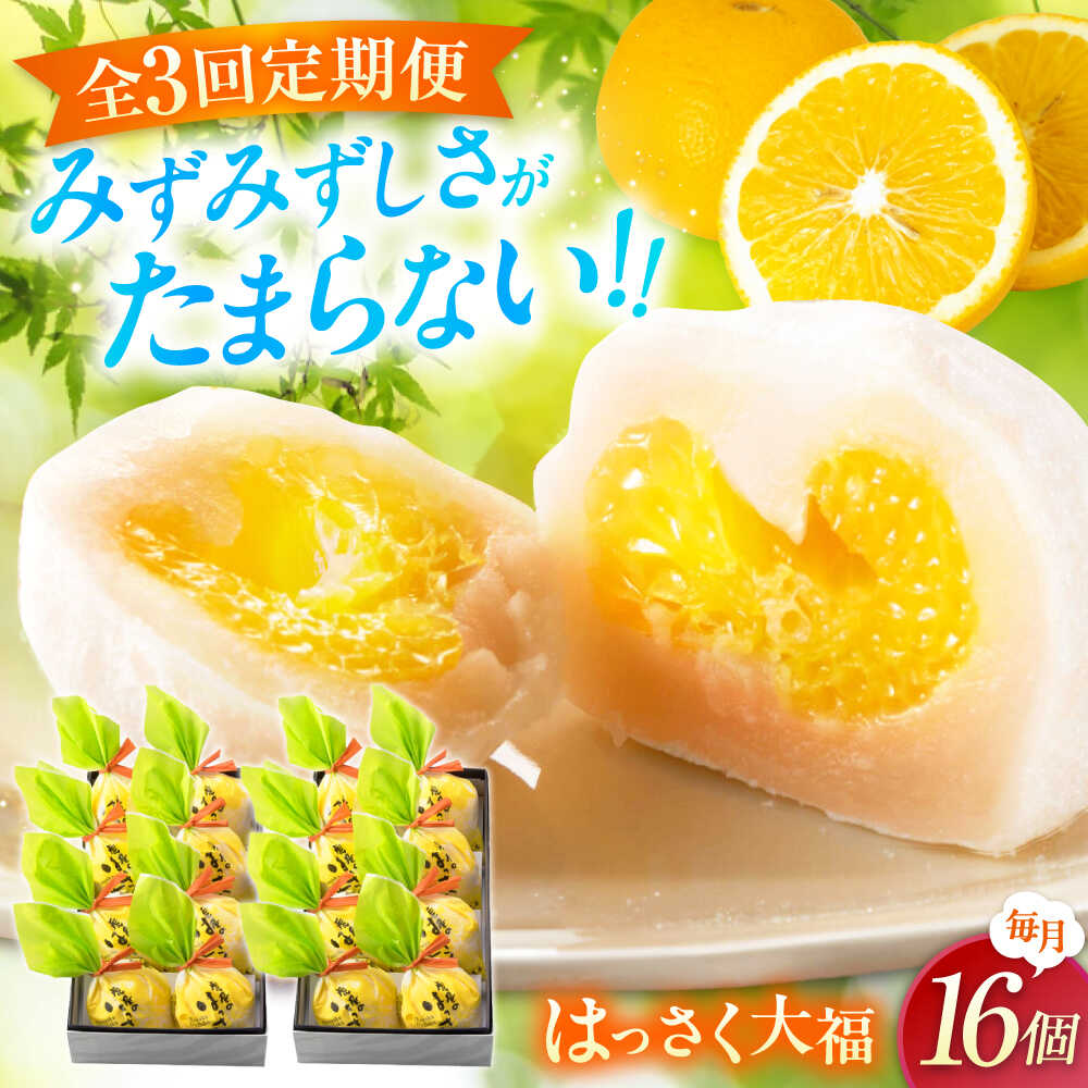 【ふるさと納税】【3回定期便】お菓子 はっさく大福 8個入×2　 お菓子 大福 八朔 柑橘 みかん オレンジ はっさく 餅 ギフト お取り寄せ スイーツ フルーツ大福 ご当地 菓子 おかし デザート 食品 人気 おすすめ 広島県福山市/株式会社虎屋本舗[BADH026]