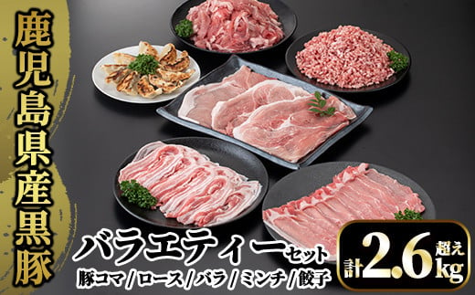 
A8-012 国産！鹿児島県産黒豚バラエティーセット計2.6kg超え(小間切れ250g×4P・ロース300g・バラ300g・ミンチ500g・モモ500g・餃子10個入)【肉の豊楽】霧島市 豚肉 小分け 薄切り 総菜 詰め合わせ
