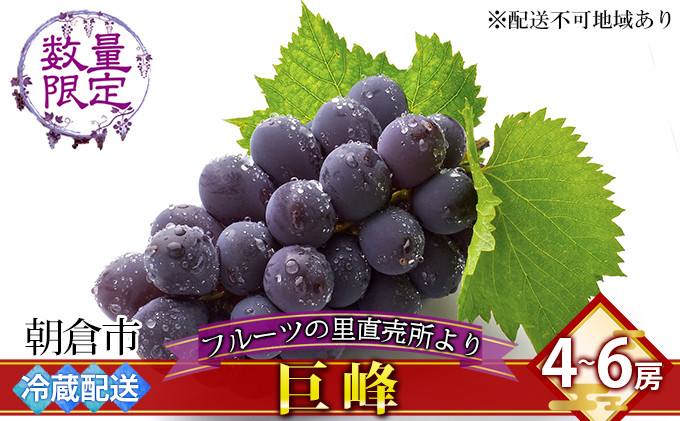 
                  フルーツの里の直売所より 巨峰 果物類 ぶどう ※配送不可：離島
                