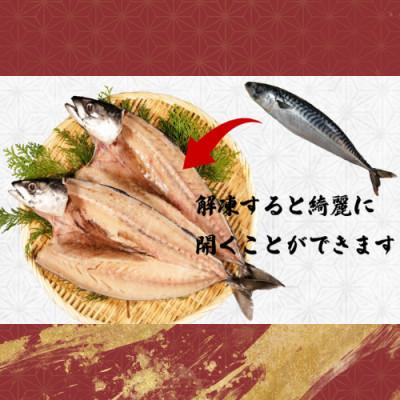 ふるさと納税 銚子市 一汐さば　8kg |  | 02