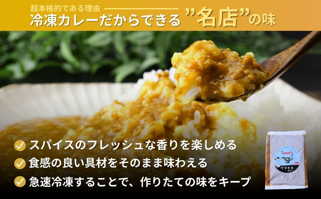てりやきカレー 180g×5袋 | てりやきカレー カレー 冷凍カレー 保存食 常備食 ギフト プレゼント 自宅用 おいしい おすすめ 人気 本格 中辛 甘口 子供 お子様カレー たまねぎ タミー食品