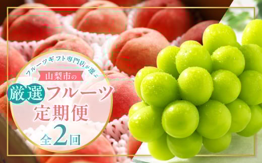 ＜発送月固定定期便＞フルーツギフト専門店が選ぶ山梨市の厳選フルーツ定期便　全2品種全2回【4060650】