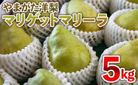 やまがた洋梨 マリゲットマリーラ 5kg【令和8年産先行予約】FS25-142
