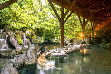 ホテルエピナール那須 1泊2食付 ペア宿泊券 ｜ 温泉 露天風呂 宿泊 旅行 チケット 宿泊券 旅行券 利用券 宿泊ギフト券 リゾートホテル 観光 国内旅行 那須 栃木県 那須町 ホテル エピナール 