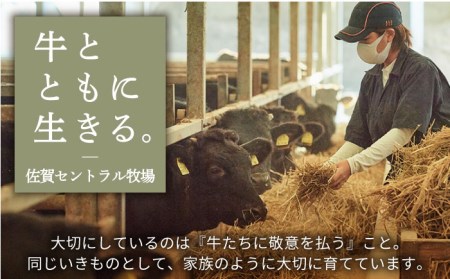 【牧場直送】【全8回】佐賀県産和牛 お一人様向け 定期便【有限会社佐賀セントラル牧場】[IAH175]