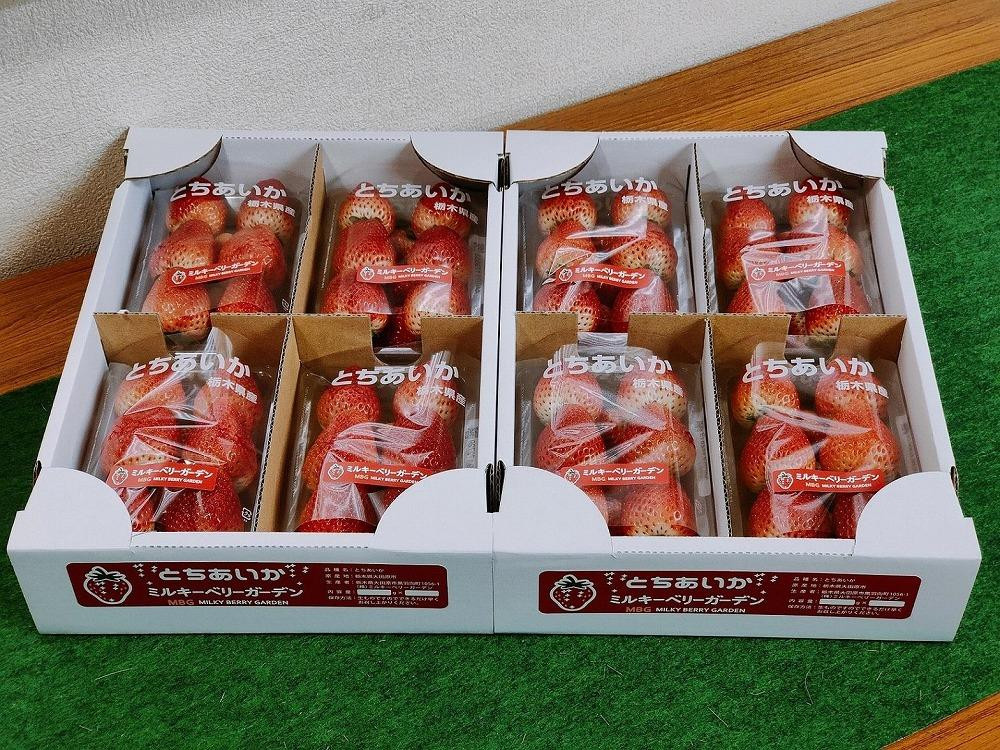 
                  【朝採り・農園直送（3月~5月収穫・冷蔵で発送）】栃木県産とちあいか（レギュラー270ｇ×4パック）×2箱
                