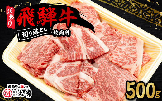【訳あり】飛騨牛 焼肉　切り落とし 500g【配送不可地域：離島】【1749003】