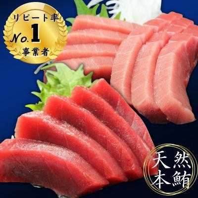 ふるさと納税 三浦市 天然本鮪中とろ2柵・赤身2柵
