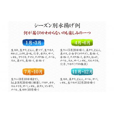 ふるさと納税 陸前高田市 【3ヶ月定期便】厳選 三陸海の恵み詰め合わせ 4〜5人用 下処理済 旬 魚 鮮魚 新鮮 天然 刺身 |  | 02