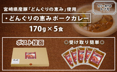 トプカ☆どんぐりの恵みポークカレー5食セット※ポスト投函_LD-J903_(都城市) カレー専門店 手づくり ポークカレー レトルト ポスト投函