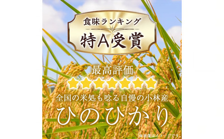 【定期便 全6回】令和7年産米 無洗米ヒノヒカリ 5kg×6回 計30kg（お米 米 ひのひかり 無洗米 国産 人気 お弁当 定期便 宮崎県 小林市）