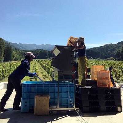 ふるさと納税 高山村 信州たかやまワイナリーの赤ワイン・白ワイン2本セット(メルロー&カベルネ、シャルドネ) |  | 03