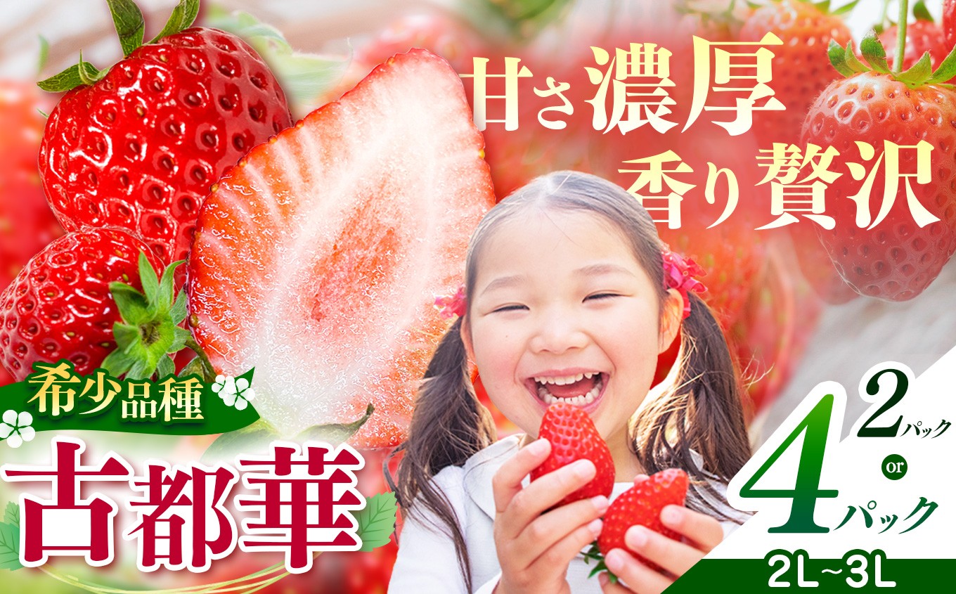 
            平群の古都華 2L～3Lサイズ （2～4パック 1～2ケース） 計2～4パック OKADAファーム | 果物 くだもの フルーツ 苺 イチゴ いちご ストロベリー 古都華 ことか 旬の品種 フードロス 産地直送 奈良県 平群町 1月発送 2月発送
          