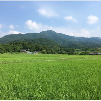 ふるさと納税 佐渡市 【令和6年産】佐渡高千産コシヒカリ 精米 150g×20袋 真空包装 |  | 03