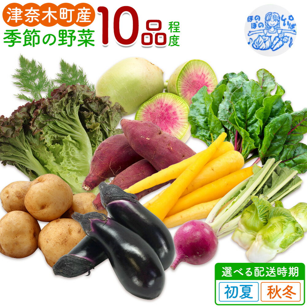 【ふるさと納税】野菜 季節の野菜 10品 詰め合わせ セット ほのぼのしいば農園《出荷時期をお選びください》熊本県 葦北郡 津奈木町 野菜 野菜セット 詰合せ 旬 国産 送料無料 サラダ 健康 料理 自炊 ナス ピーマン
