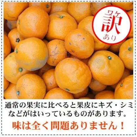 訳あり・ご家庭用　早生みかん　約5kg(農家お助け2S～4L規格)【2026年12月中旬～順次発送】【配送不可地域：離島・北海道・沖縄県】【1491580】