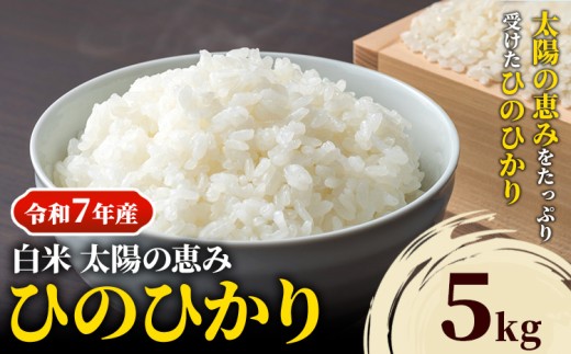 【令和7年産】岡山県産 ひのひかり 5kg 太陽の恵み 白米 奥山営農《10月下旬頃出荷》岡山県 笠岡市 送料無料 米 お米 こめ