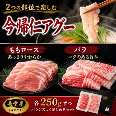 【熨斗付き】今帰仁アグーしゃぶしゃぶ2種食べ比べセット 500g(ももロース・バラ 各250g)【配送不可地域：離島】