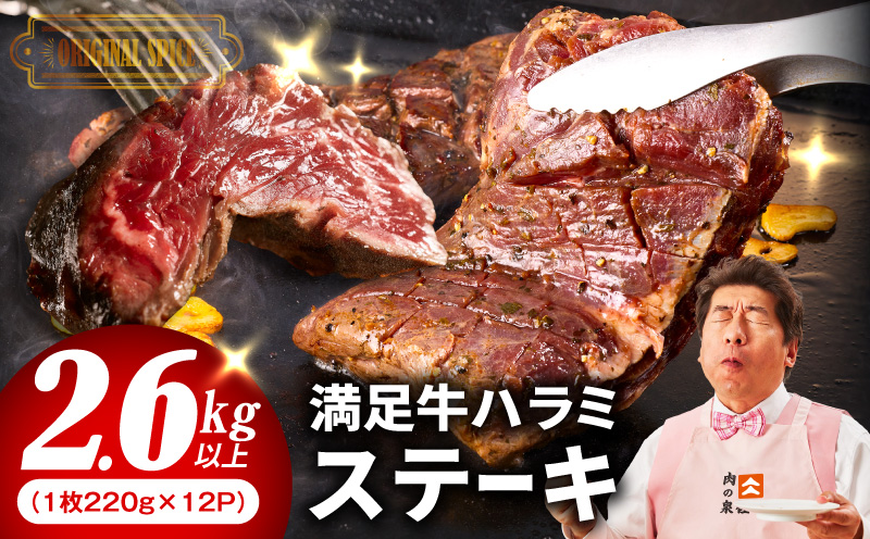 【満足牛ハラミステーキ】オリジナルスパイス仕込み 1枚220g×12P 合計2.64kg 【味付け ハラミ ステーキ 小分け 焼くだけ 簡単調理 BBQ 牛肉 普段使い 大阪 泉佐野 大阪府 泉佐野市】