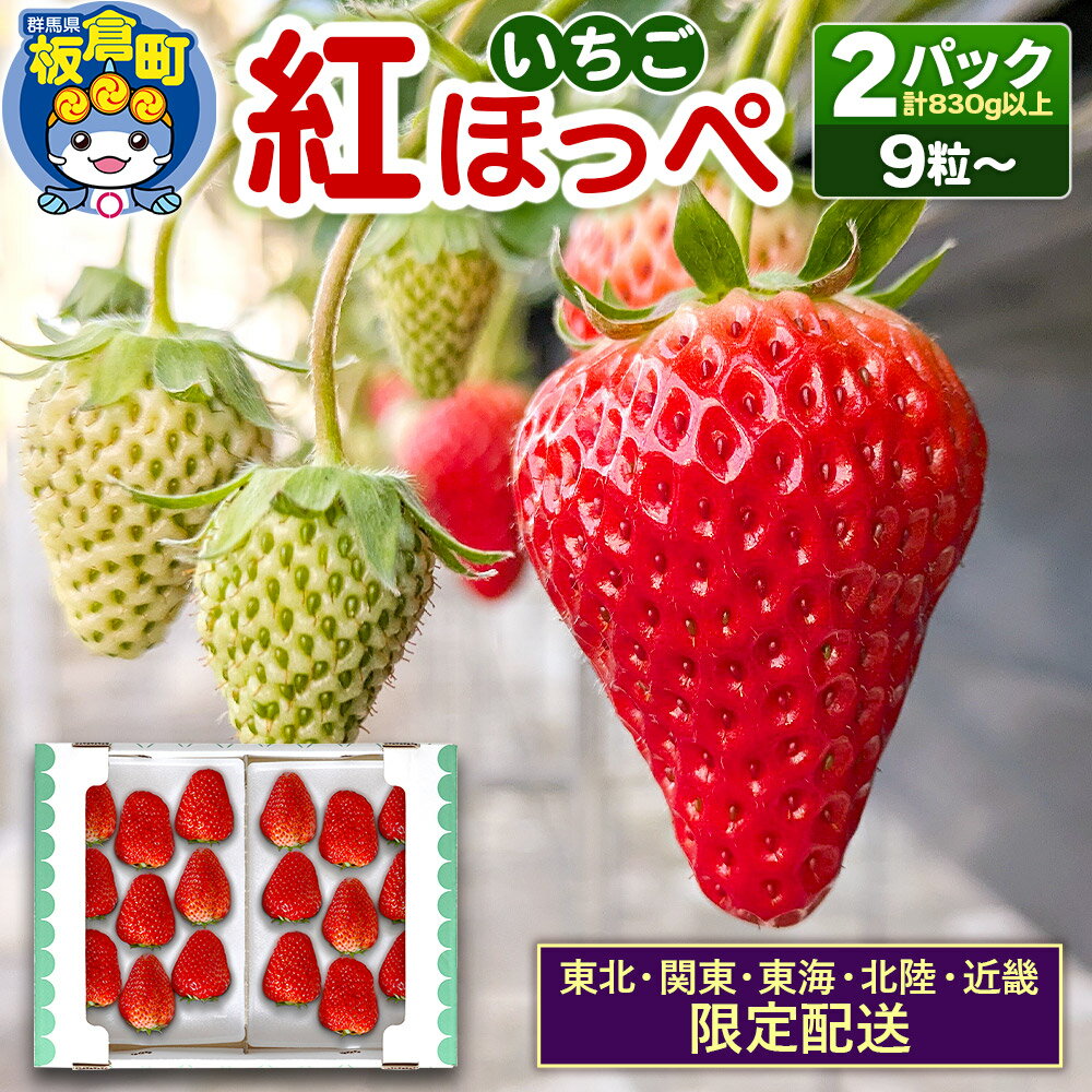 【ふるさと納税】【東北・関東・東海・北陸・近畿 限定配送】いちご「紅ほっぺ」9粒〜 (2パック計830g以上)【12月中旬から順次発送】イチゴ 苺 あまい 1粒35g以上の特大粒を厳選 産地直送ならではの大きさと赤さ 一般市場には流通しない厳選のいちご 数量限定