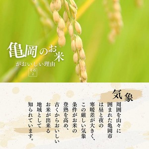 最優秀賞受賞米 キヌヒカリ 5kg【京都丹波米おいしいお米コンテスト】入賞（最優秀賞） 米 京都 丹波 きぬひかり 数量限定