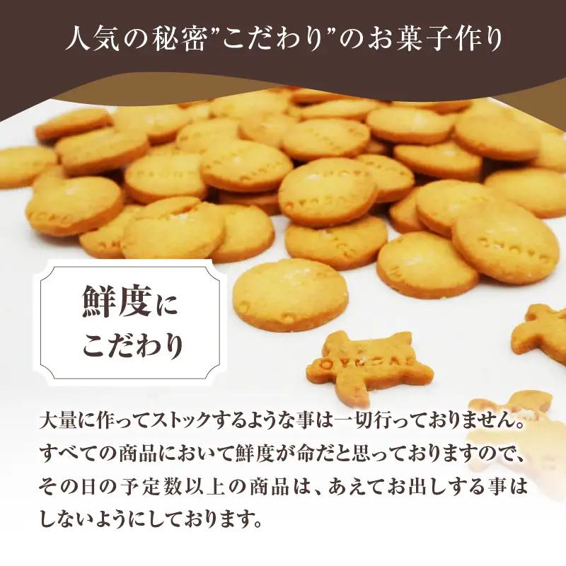 海がめ塩クッキー充実BOX (57枚+子がめクッキー3枚) 箱入り J01018