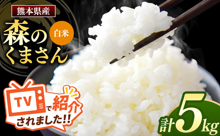 令和7年産 新米  熊本県産 森のくまさん 白米 5kg | 小分け 5kg × 1袋  熊本県産 こめ 米 白米 ごはん 銘柄米 ブランド米 単一米 人気 日本遺産 菊池川流域 こめ作り ごはん ふるさと納税 返礼品