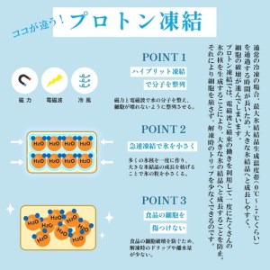 大粒海老シューマイ 約50g×6個×4 袋 エビ シュウマイ 海老焼売