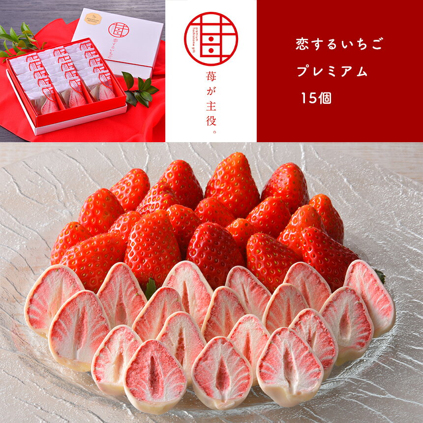 【ふるさと納税】苺が主役。 恋するいちごプレミアム 15個 ｜ いちご お菓子 チョコレート 特産品 栃木県 真岡市 苺 チョコ おかし おやつ お土産 特産品 ストロベリー チョコ スイーツ 送料無料 フリーズドライ お菓子 洋菓子 人気 かわいい オシャレ