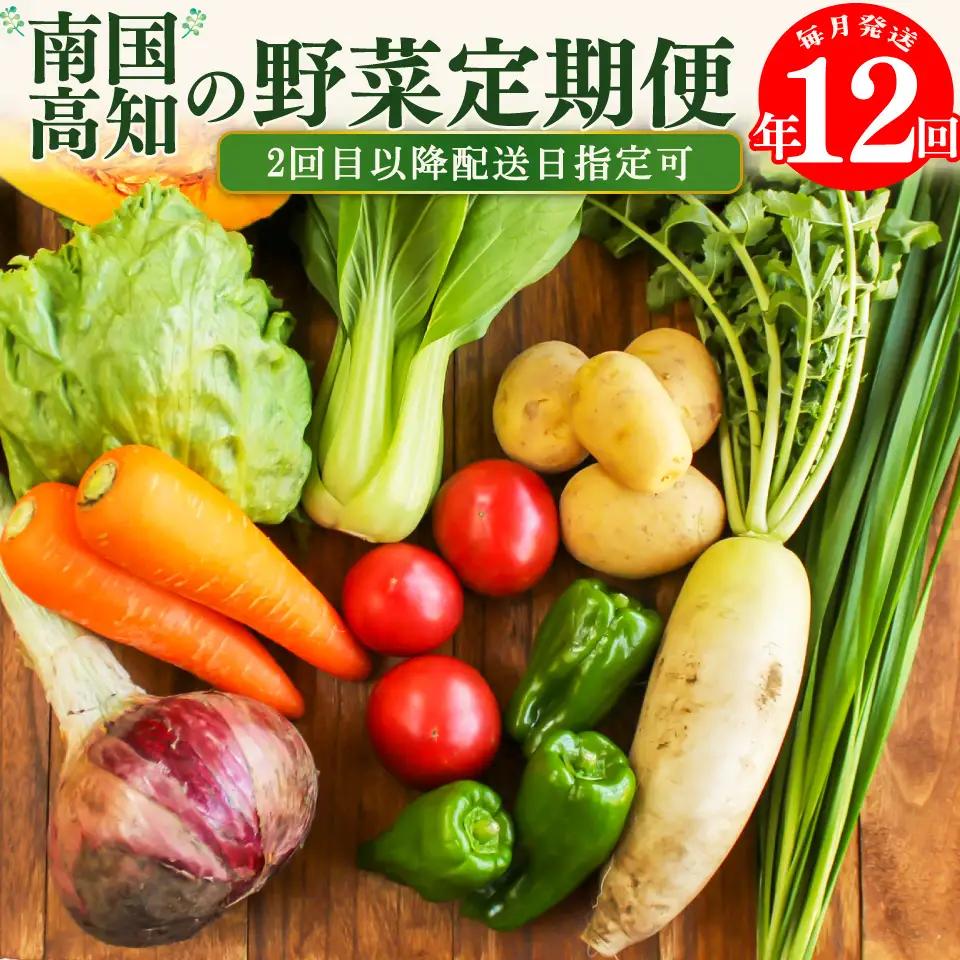 【ふるさと納税】年12回発送！＜南国高知から直送！旬の季節のお野菜定期便（7～9品）＞毎月お届け 野菜セット 野菜便 詰め合わせ 【冷蔵】 旬の時期にお届け 2回目以降、着日時間指定可能 こうち育ち 佐川町