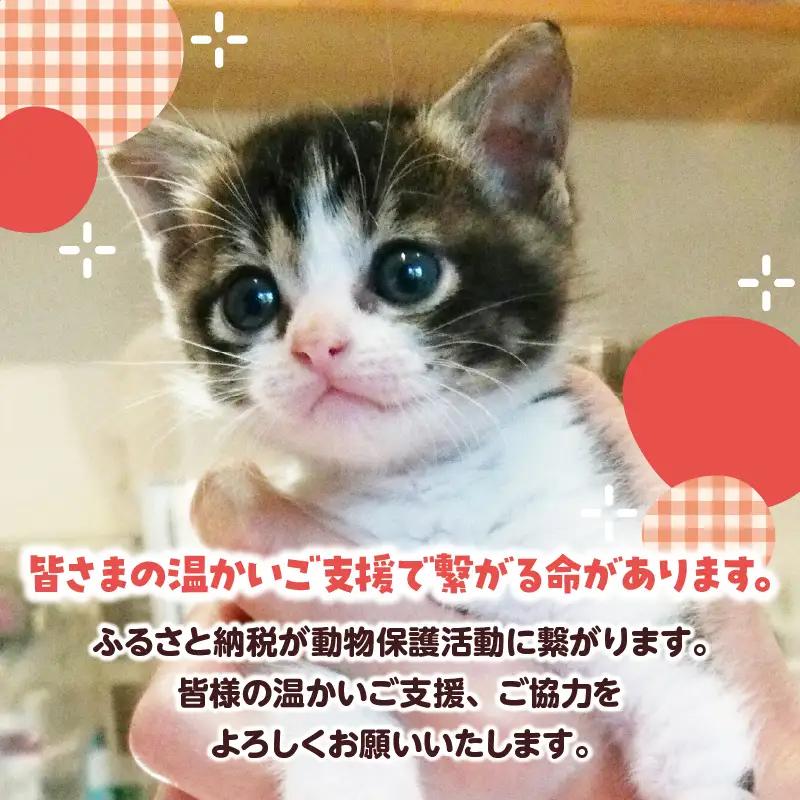 【動物愛護ボランティア】浜中町「ポラリス☆はまなか」を支援　30000円分 返礼品なし_H0048-007
