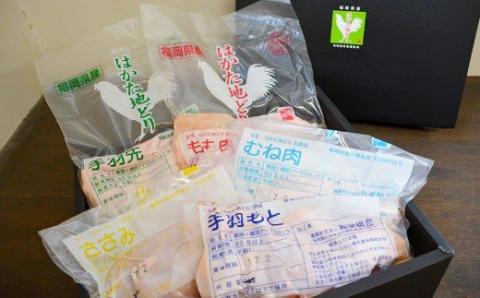 福岡県産 はかた地どり 産地パック チルドセット