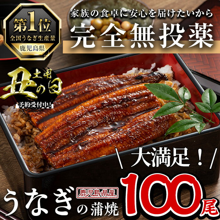 【ふるさと納税】鹿児島県産うなぎ蒲焼 (1尾あたり136g～155g×100尾、タレ・山椒付き) 鰻 ウナギ うな重 ひつまぶし かばやき 九州産 国産 冷凍 【西日本養鰻】