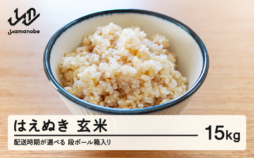 【配送時期が選べる】《先行予約》 2026年産 令和8年産 山形県産 はえぬき 玄米 15kg（段ボール箱入り）（2027年1月前半にお届け）お米 ブランド米 こめ コメ ※沖縄・離島への配送不可 ff-hagxb15-1f