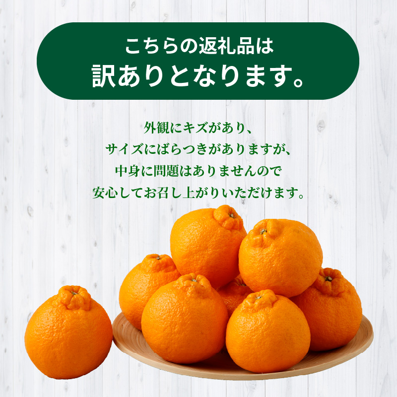 S040-030_【訳あり】農家の手摘み　不知火　家庭用　3kg ≪順次発送≫
