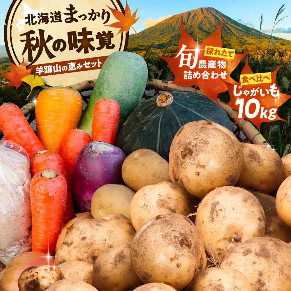 【先行予約】 秋の味覚セット（大）[BPAM004] 野菜セット 北海道