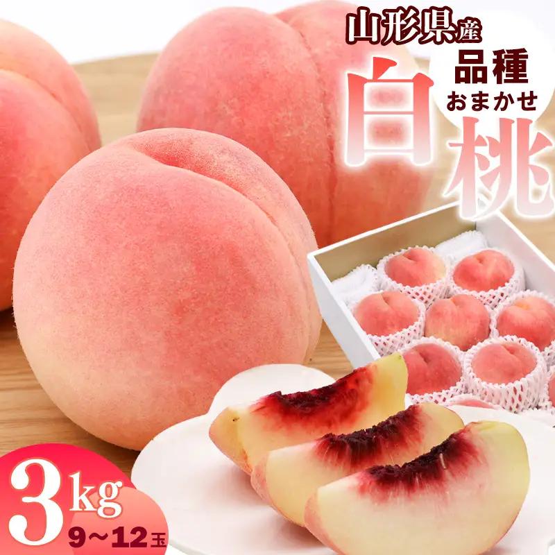 令和8年産 山形県産 白桃 3kg 品種 おまかせ 秀品 山形県産 【2026年8月上旬頃から9月下旬頃発送予定】　014-B-JA048