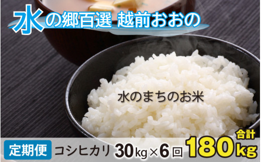 【令和7年産】【6ヶ月定期便】こしひかり 30kg×6回 計180kg（白米）「エコファーマー米」－水のまちのお米－